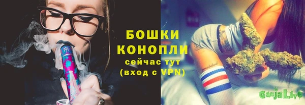 мдпв Нея