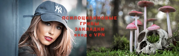 spice Арсеньев