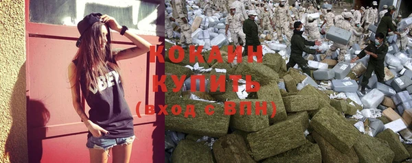 стаф Нефтегорск