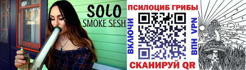 купить закладку  Рыбное  Галлюциногенные грибы Psilocybe 